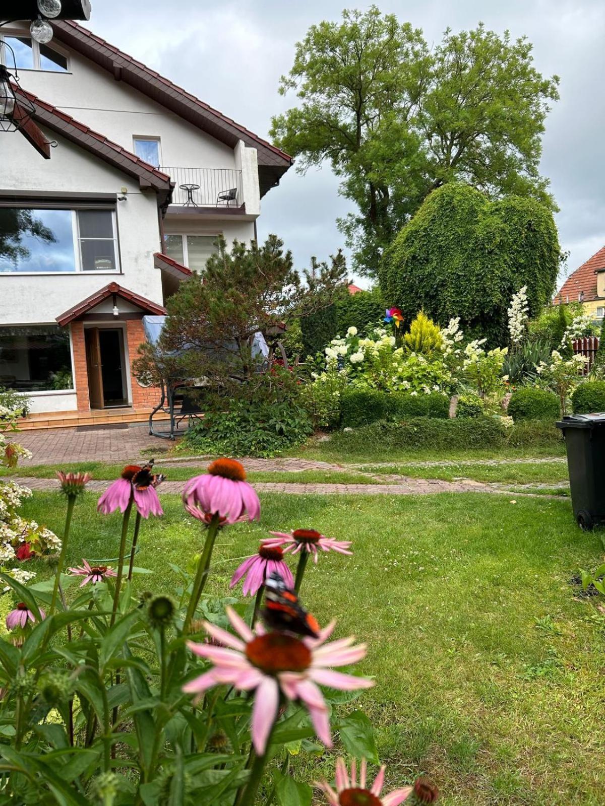 Villa Mielno-Eko Großmöllen Exterior foto